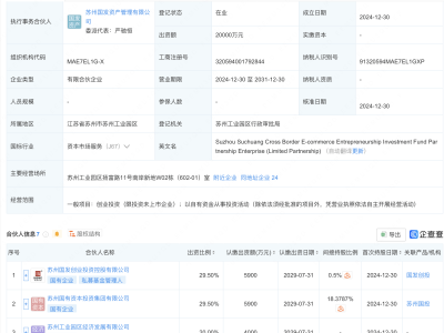 苏州苏创跨境电商创投基金诞生，国资背景引关注