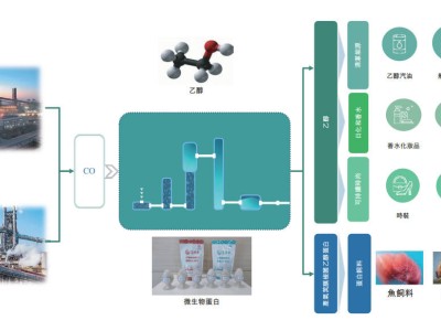 首钢朗泽赴港上市路：半年亏近亿，首钢集团持股近三成能否力挽狂澜？