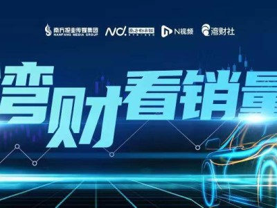 新能源车市火热！多家车企销量破纪录，2025年目标纷纷上调