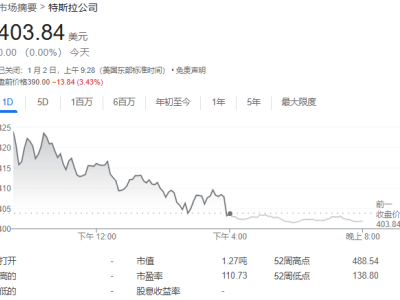 特斯拉年销量首降，四季度创新高却未达预期，股价早盘大跌