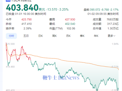 特斯拉Q4交付量未及预期49.6万辆，美股盘前下跌超2%