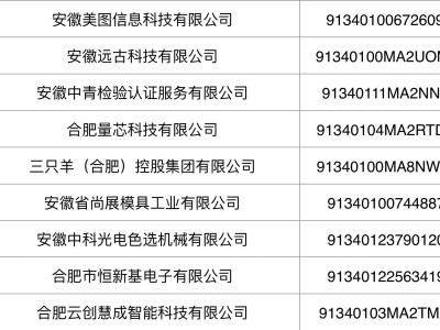 合肥产教融合企业新名单出炉，三只羊控股成功入围公示！