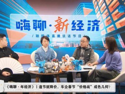 2025年，中国新能源车市：销量激增后的新竞争格局如何？