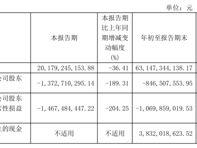 天合光能迎新联席董事长高海纯，业绩下滑成关注焦点