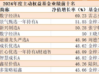 2024基金战绩揭晓：科创主题基金霸榜，债基与QDII谁领风骚？