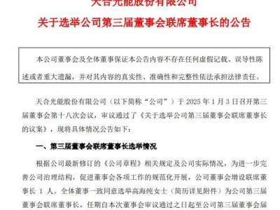 93后高海纯接棒！天合光能400亿市值巨头迎来新联席董事长