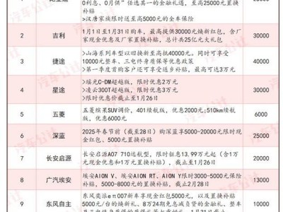 2025汽车价格战全面爆发！30余家车企降价，谁能笑到最后？