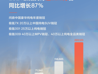 极氪豪取纯电豪华销冠，2025年能否续写加速度传奇？