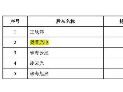 长光辰芯科创板IPO梦碎，百亿估值合理性受质疑，参股方回应无影响