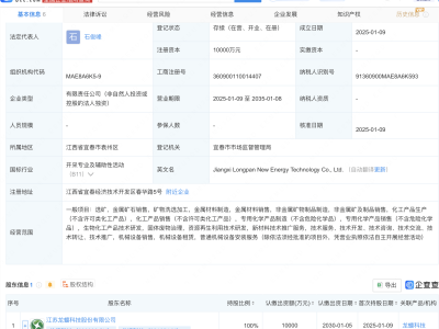 龙蟠科技1亿元成立新能源科技公司