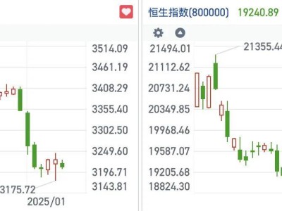 港股19000点保卫战打响，新股布鲁可暗盘飙升引领打新热潮