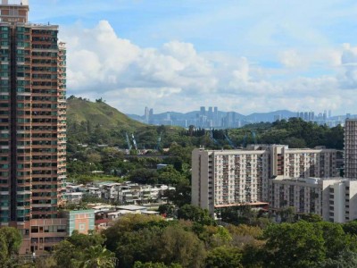 内地赴港购房热，2024年香港三分之一新房被内地买家收入囊中