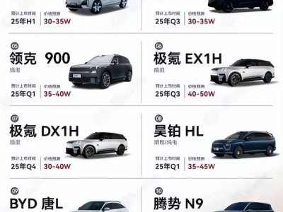 2025年中国车企“卷”向大型车，新赛道能否成功突围？