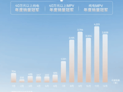 极氪009问鼎2024纯电MPV销冠，22631辆佳绩彰显豪华实力