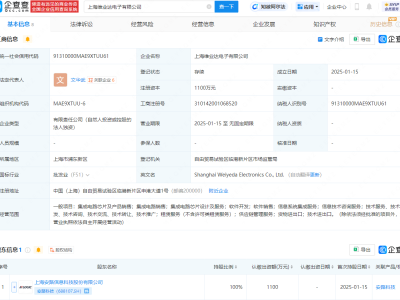 安路科技投资成立新公司，含集成电路芯片相关业务