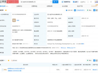 雷电微力全资控股新公司，注册资本5000万，涉足集成电路领域