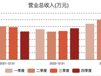 虹软科技2024年Q4业绩创新高，AI视觉领域需求强劲助力