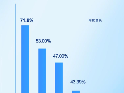 比亚迪2024年新能源销量夺冠，全球化布局助力海外市场持续增长