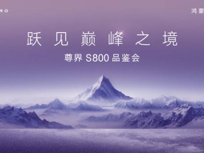 尊界S800美学盛宴：自然与科技交融，演绎豪华新境界