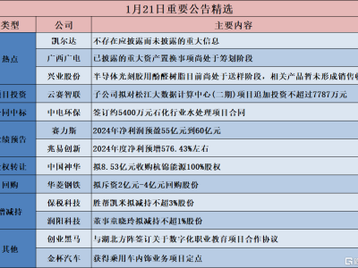 多家公司动态：赛力斯2024年净利润预盈55-60亿，新能源车销量突破42万辆