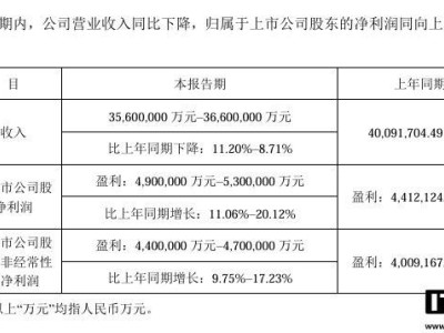 宁德时代2024年净利润预计大增，490亿至530亿元靠什么？