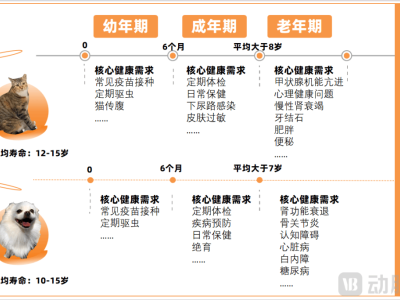 宠物老龄化时代：蓝海市场下的医药与健康新机遇