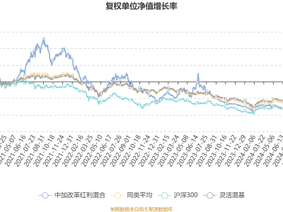 中加改革红利混合基金2024Q4亏损301万，净值下滑7.02%，未来策略如何？