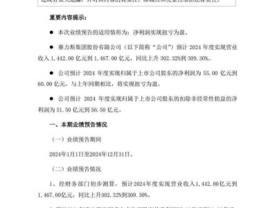 赛力斯2024年大翻身：问界成销量担当，营收净利润双增长