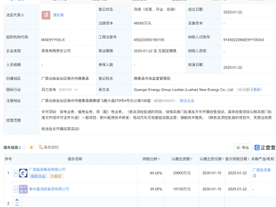 嘉泽新能、广西能源集团成立新能源公司