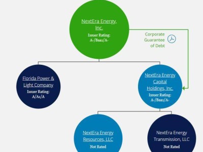 美国可再生能源龙头NextEra能源，缘何布局天然气与核能新赛道？