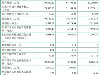 森峰科技IPO梦碎，年营收近十亿背后，李峰西夫妇身负3699万债务