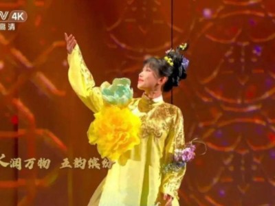 新春“战袍”热卖，国风服饰成新年消费新宠，商家笑迎开门红