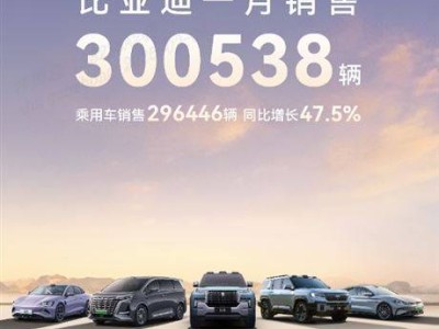 比亚迪1月狂销30万辆，再夺中国品牌汽车市场销冠！