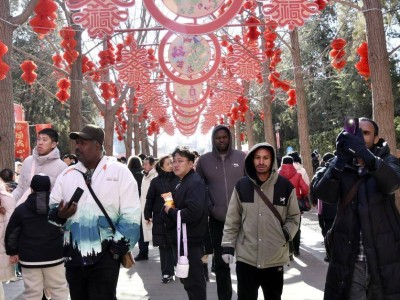 春节消费账单揭晓，哪些领域燃爆了这个年？