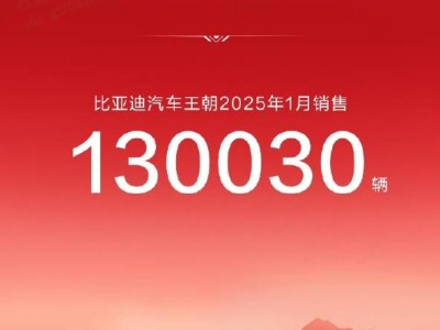 比亚迪2025年1月再夺冠，海外市场成新增长点！