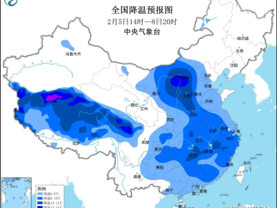 蛇年首寒潮来袭，农业生产防寒指南请收好！