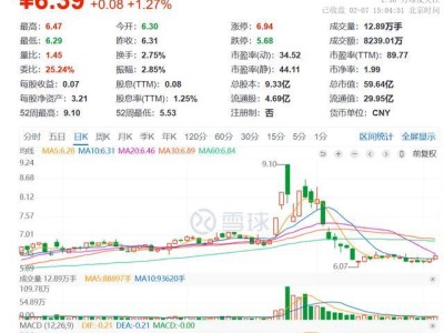 立新能源：净利大幅下滑，17亿储能项目投资进行时，董事长突然辞职