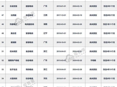 《2024数字零售“死亡”名单》发布 数量同比暴增383.64%