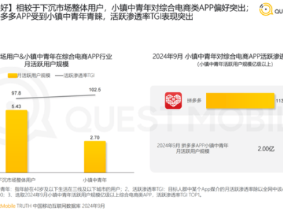 小镇青年春节消费力爆棚，品牌争抢拼多多渠道红利