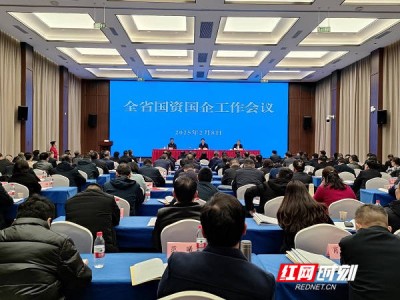 2025湖南国资国企新征途：产业转型与国企改革深化提升如何加速？