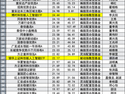 主动管理基金大放异彩，领跑被动指数，这次背后的秘密是什么？