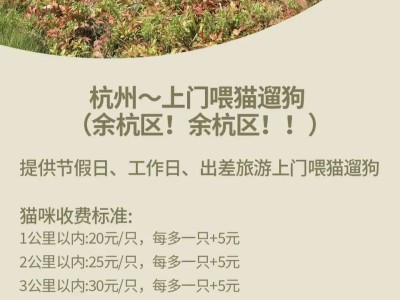 大厂抢滩家政服务，万亿市场蓝海还是挑战重重？