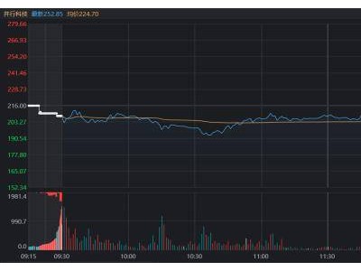 北证“牛股”并行科技振幅超40%，高波动股盘点，哪些方向成焦点？