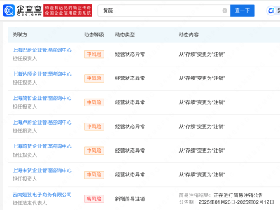 薇娅旗下多家企业状态变更为注销，电商版图生变？