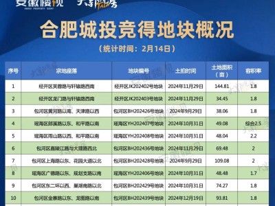 合肥城投：逆势拿地，以国企担当重塑市场信心