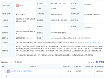 大位科技布局新领域，内蒙古成立智算大数据全资子公司