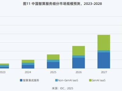 DeepSeek引领智算市场新变革，未来走向如何？九图深度解析