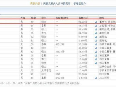 美锦能源2024年预亏8-11.5亿，姚锦龙年薪居首如何应对市场挑战？