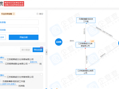 刘诗诗5%股权转给吴奇隆，夫妻间财务调整？关联公司去向成谜