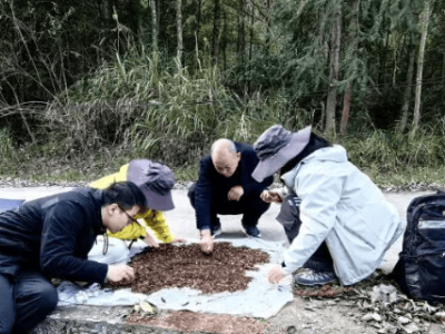 江西铜钹山发现蜘蛛新物种，命名为铜钹山奥塔蛛！